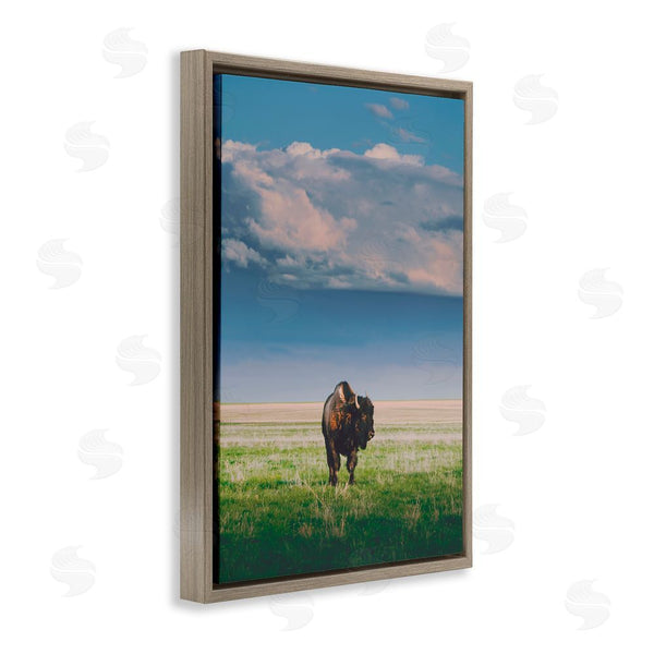 Stupell Industries Annie Bailey Art | Sunlight Over Lone Bison Wall Art