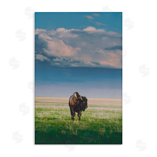 stupell industries Annie Bailey Art | Sunlight over Lone Bison Wall Art