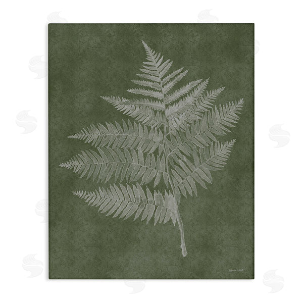 stupell industries Annie LaPoint | Asymmetrical Fern Plant Wall Art