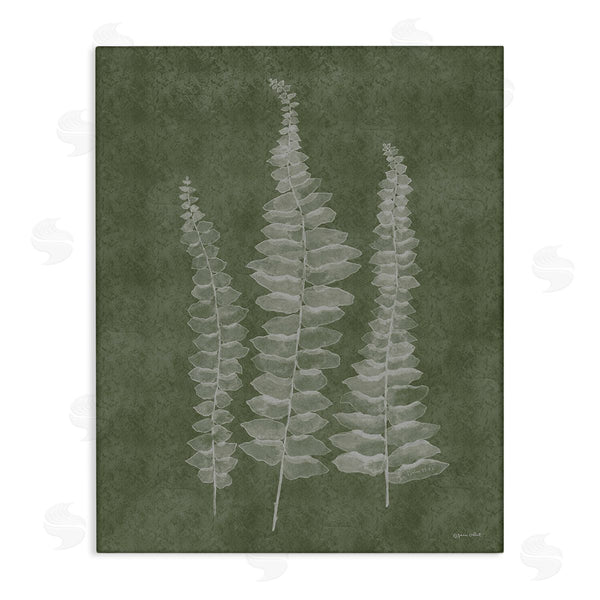 stupell industries Annie LaPoint | Green Rustic Botanicals Wall Art