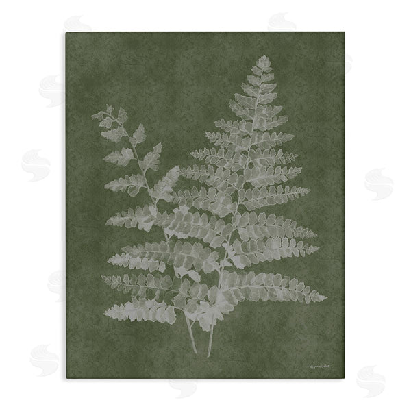 stupell industries Annie LaPoint | Green Rustic Ferns Wall Art