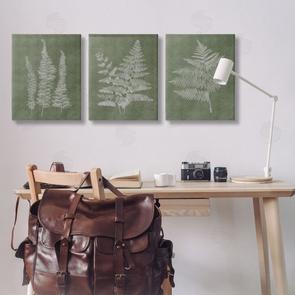 Stupell Industries Annie LaPoint | Vintage Fern Silhouettes Wall Art