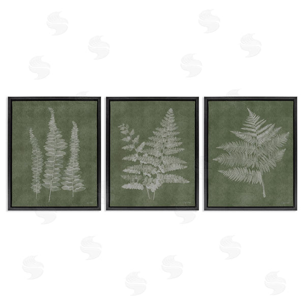 Stupell Industries Annie LaPoint | Vintage Fern Silhouettes Wall Art