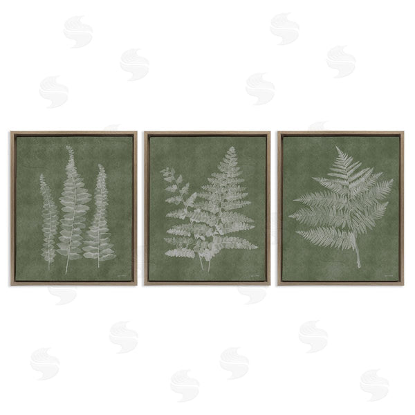 Stupell Industries Annie LaPoint | Vintage Fern Silhouettes Wall Art