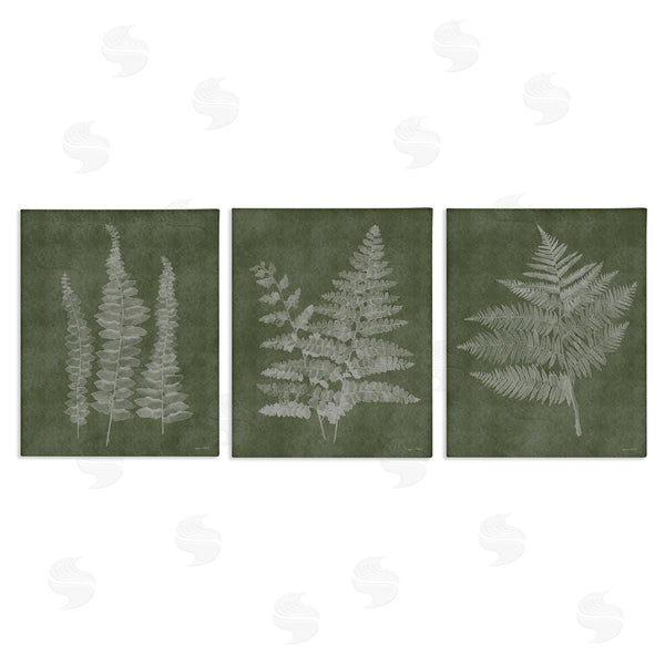 stupell industries Annie LaPoint | Vintage Fern Silhouettes Wall Art