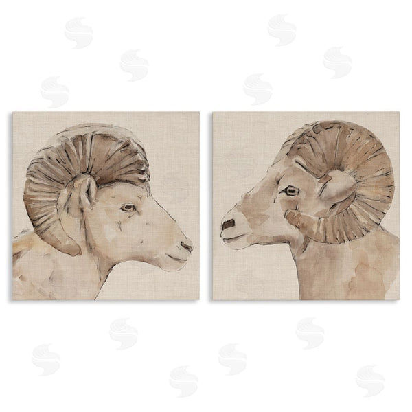 stupell industries Annie Warren | Asymmetrical Big Horn Portraits Wall Art