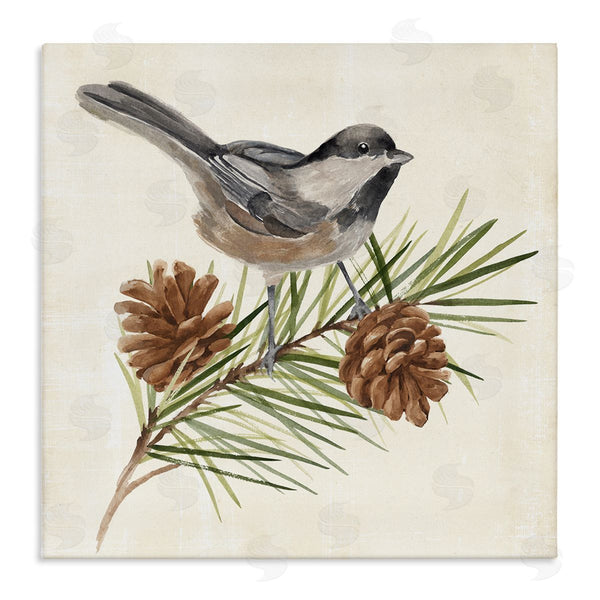 stupell industries Annie Warren | Bird Perched on Pine Wall Art