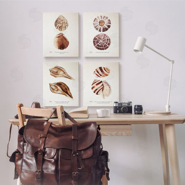 Stupell Industries Annie Warren | Elegant Beach Seashells Exquisite Marine Life Wall Art