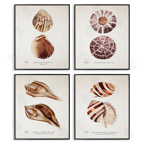Stupell Industries Annie Warren | Elegant Beach Seashells Exquisite Marine Life Wall Art
