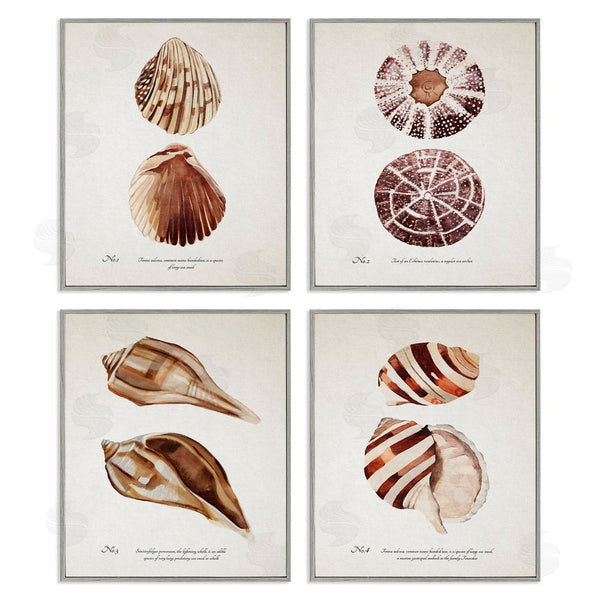Stupell Industries Annie Warren | Elegant Beach Seashells Exquisite Marine Life Wall Art