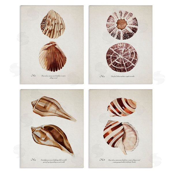 stupell industries Annie Warren | Elegant Beach Seashells Exquisite Marine Life Wall Art