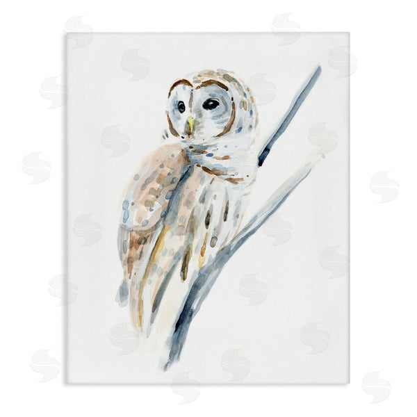 stupell industries Annie Warren | Soft Arctic Owl Perched on Minimal Branch