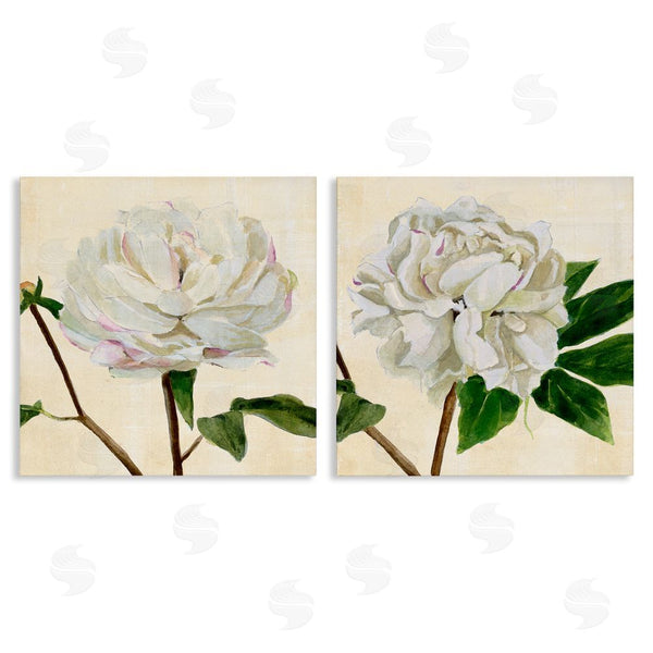 stupell industries Annie Warren | White Peonies with Pink Petal Details Wall Art