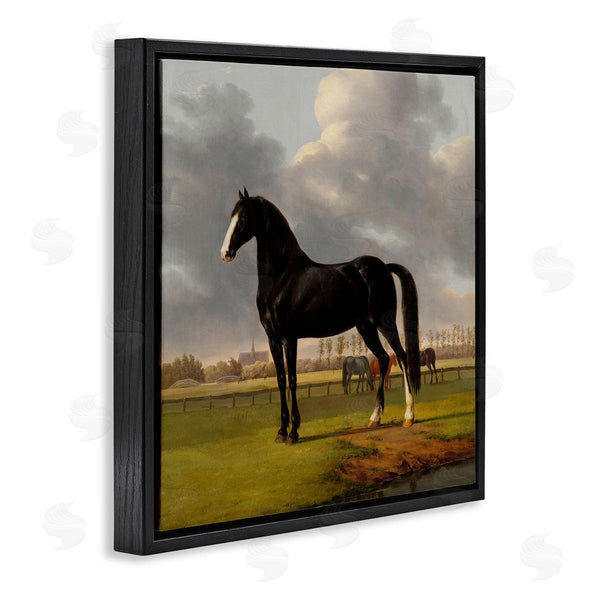 Stupell Industries Anthony Oberman | Classic Black Stallion