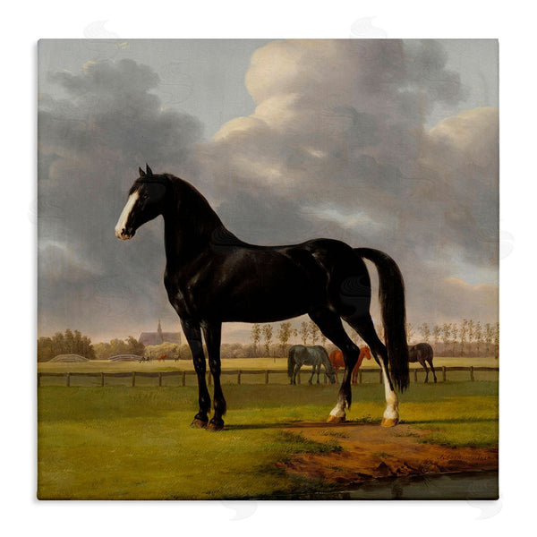 stupell industries Anthony Oberman | Classic Black Stallion