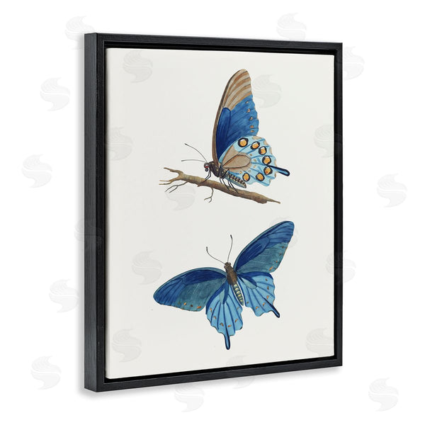 Stupell Industries Arlington Prints | Blue Butterflies Pair