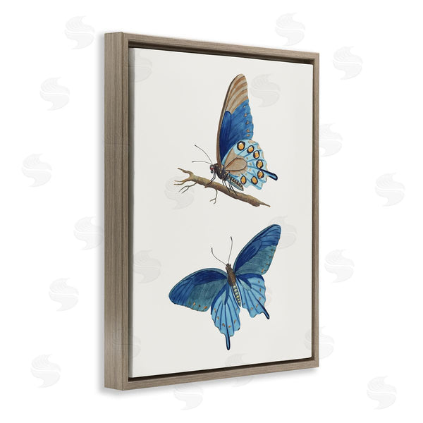 Stupell Industries Arlington Prints | Blue Butterflies Pair