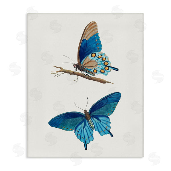 stupell industries Arlington Prints | Blue Butterflies Pair