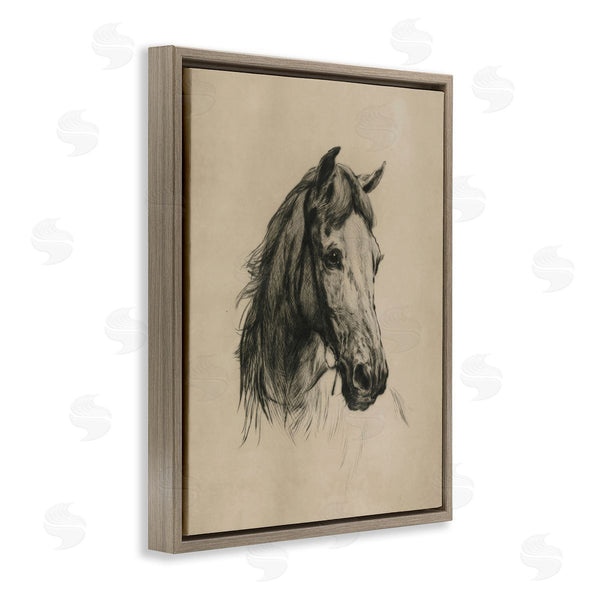 Stupell Industries Arlington Prints | Charcoal Horse Portrait