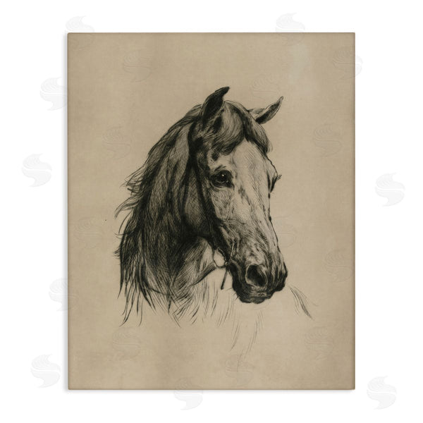 stupell industries Arlington Prints | Charcoal Horse Portrait