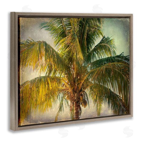 Stupell Industries Ashley Calhoun | Tropical Summer Palm Tree