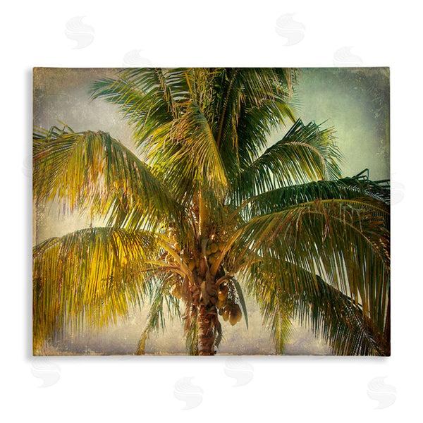 stupell industries Ashley Calhoun | Tropical Summer Palm Tree