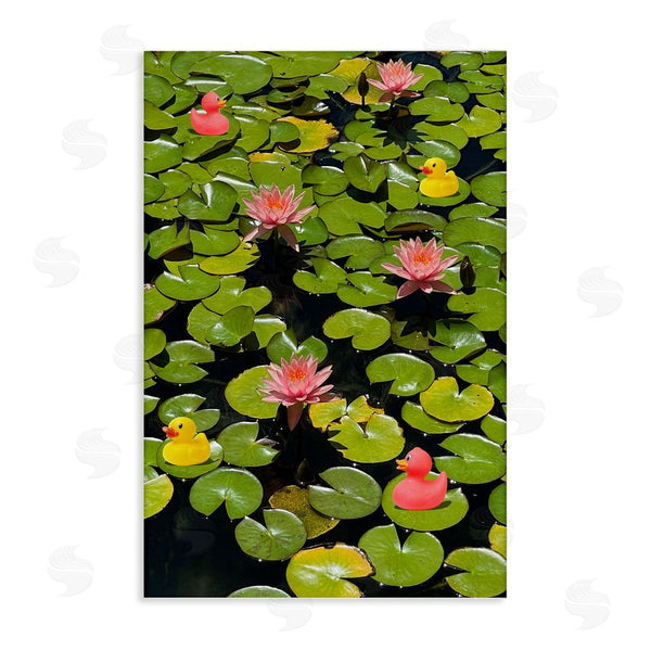 stupell industries Ashley Singleton | Rubber Ducks on Pond Lilies