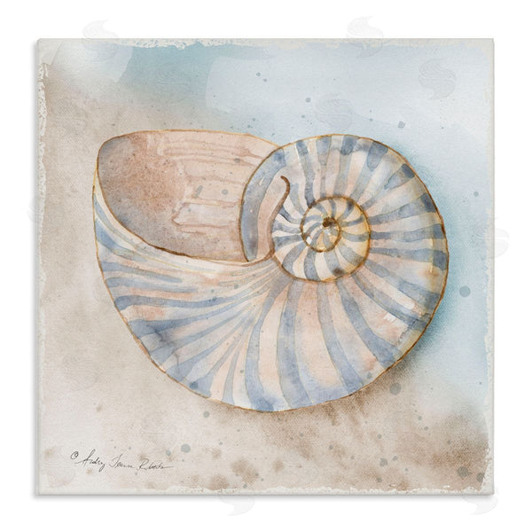 stupell industries Audrey Jeanne Roberts | Spiral Nautilus on Shore