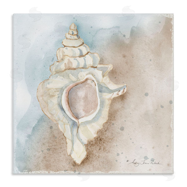stupell industries Audrey Jeanne Roberts | Subtle Conch on Shore