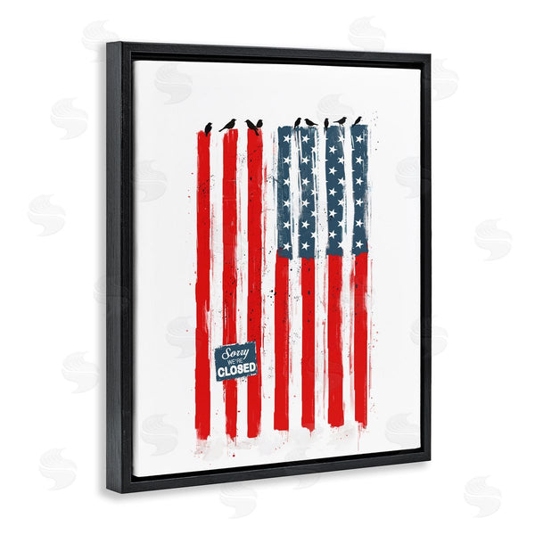 Stupell Industries Balazs Solti | American Flag Birds Political Statement