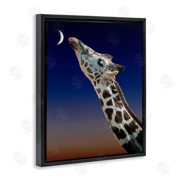 Stupell Industries Bellassai Art | Giraffe Touching The Moon Wall Art
