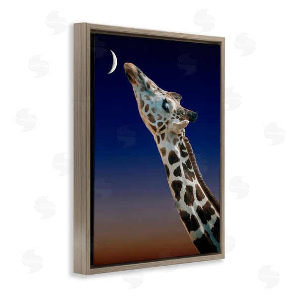 Stupell Industries Bellassai Art | Giraffe Touching The Moon Wall Art