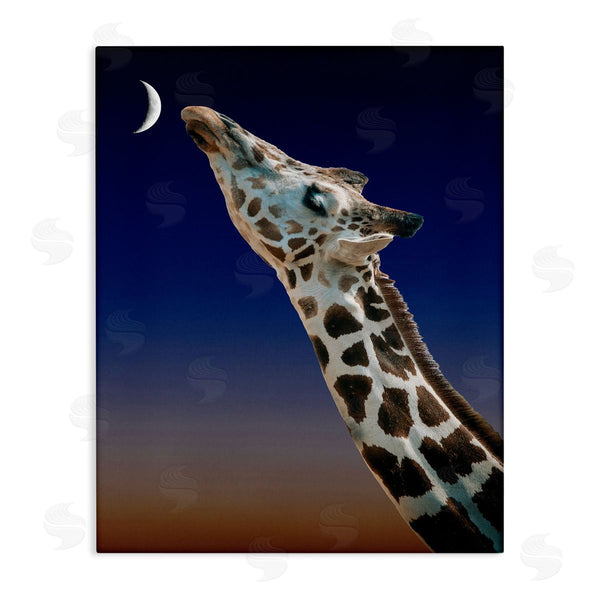 stupell industries Bellassai Art | Giraffe Touching the Moon Wall Art