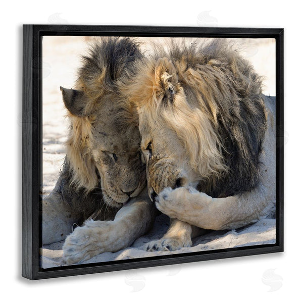 Stupell Industries Bernhard Esterer | Wildlife Gossip Lions Wall Art