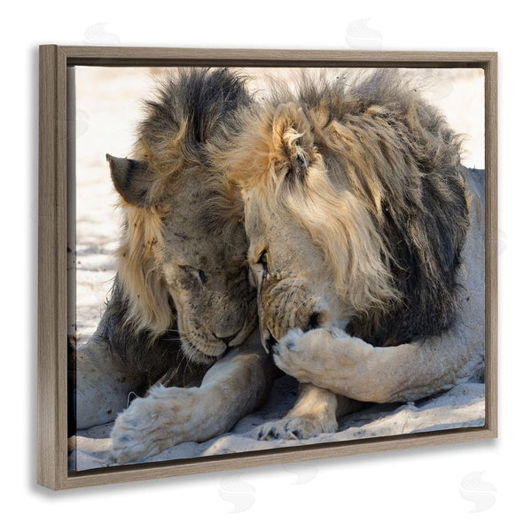 Stupell Industries Bernhard Esterer | Wildlife Gossip Lions Wall Art