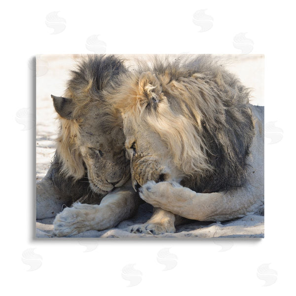 stupell industries Bernhard Esterer | Wildlife Gossip Lions Wall Art