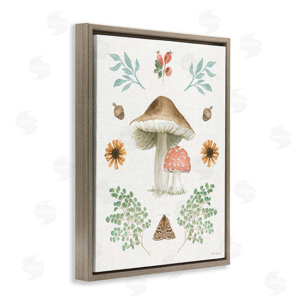 Stupell Industries Beth Grove | Moth & Mushrooms Painting Wall Art