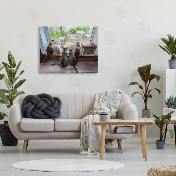 Stupell Industries Beth Noble | Cats Watching Bird At Window Wall Art