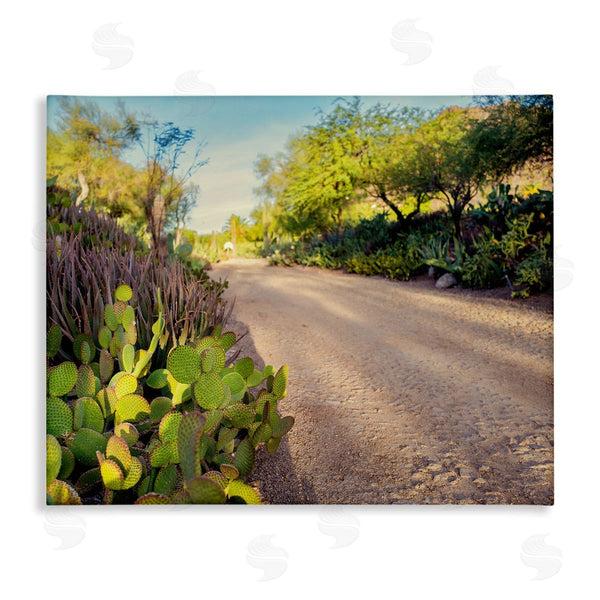 stupell industries Bill Carson Photography | Roadside Greenery Botanicals Arid Desert Cactus Plants Wall Art