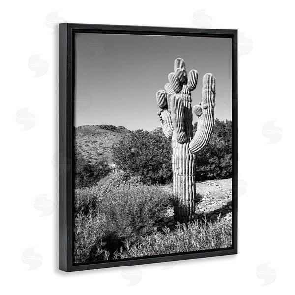 Stupell Industries Bill Carson Photography | Thick Desert Cactus Black White Photography Canyon Landscape Wall Art