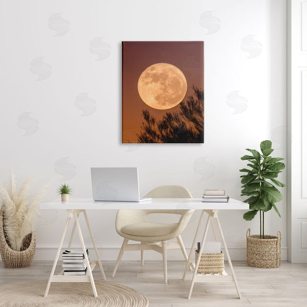 Stupell Industries Birch & Ink | Full Moon Photography Tree Branch Silhouette Autumn Sky Wall Art