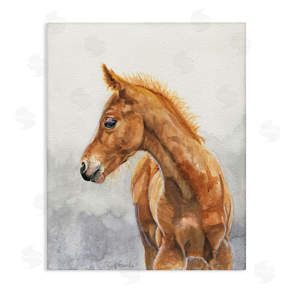 stupell industries Birch & Ink | Watercolor Brown Foal Wall Art
