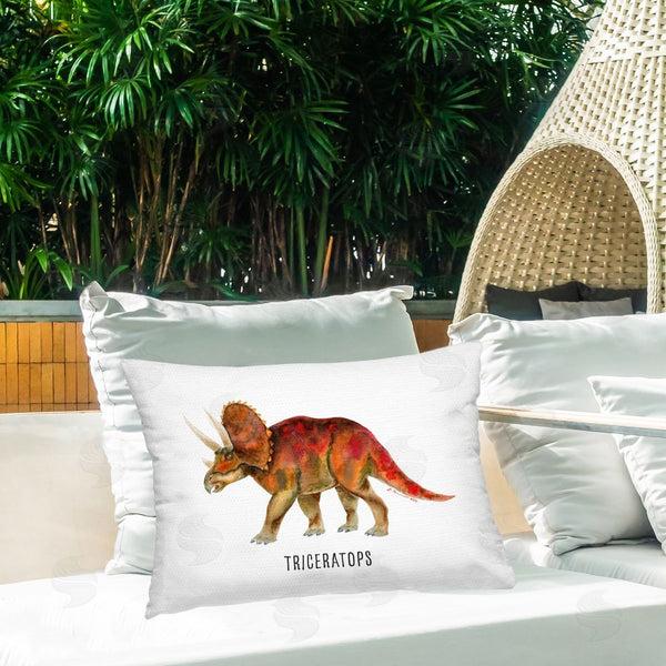 Stupell Industries Brett Blumenthal | Triceratops Dinosaur Learning