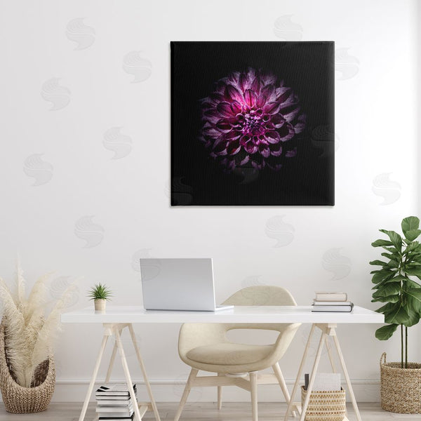 Stupell Industries Brian Carson Photography | Purple Dahlia Dark Contemporary Wall Art
