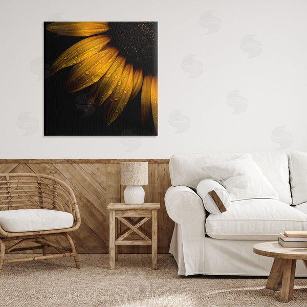Stupell Industries Brian Carson Photography | Sunflower Detail With Droplets Wall Art