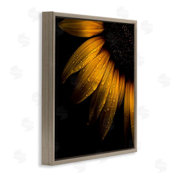 Stupell Industries Brian Carson Photography | Sunflower Detail With Droplets Wall Art