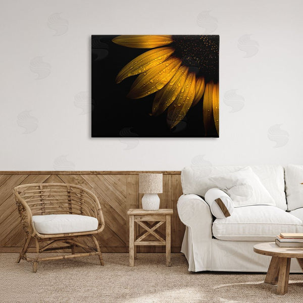 Stupell Industries Brian Carson Photography | Water Droplets On Sunflower Wall Art