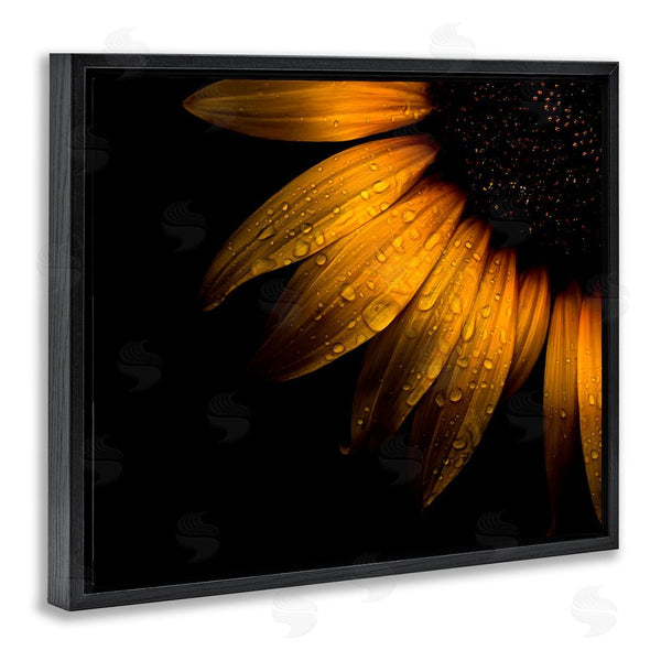 Stupell Industries Brian Carson Photography | Water Droplets On Sunflower Wall Art