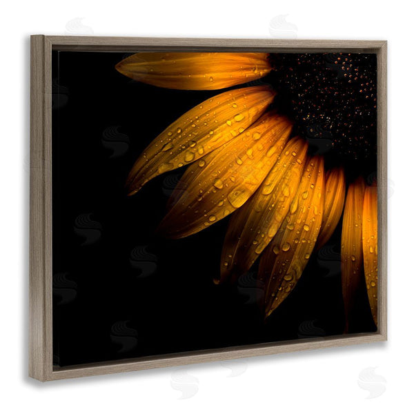 Stupell Industries Brian Carson Photography | Water Droplets On Sunflower Wall Art