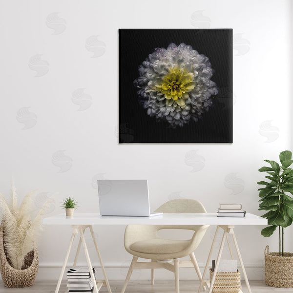 Stupell Industries Brian Carson Photography | White And Yellow Mum Wall Art